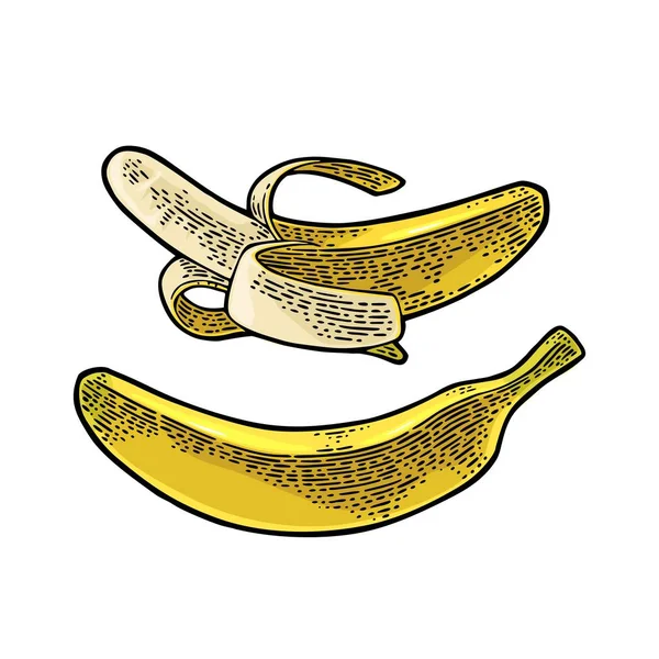 Whole and half peeled banana. Vector black vintage engraving — Stock Vector