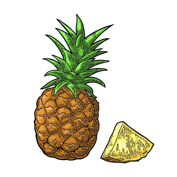 Ananas entiers et tranchés. Gravure vintage vectorielle noire — Image vectorielle