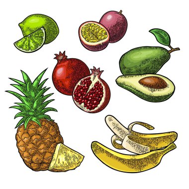 Tropikal meyve ayarlayın. Ananas, kireç, muz, nar, maracuya, avokado.