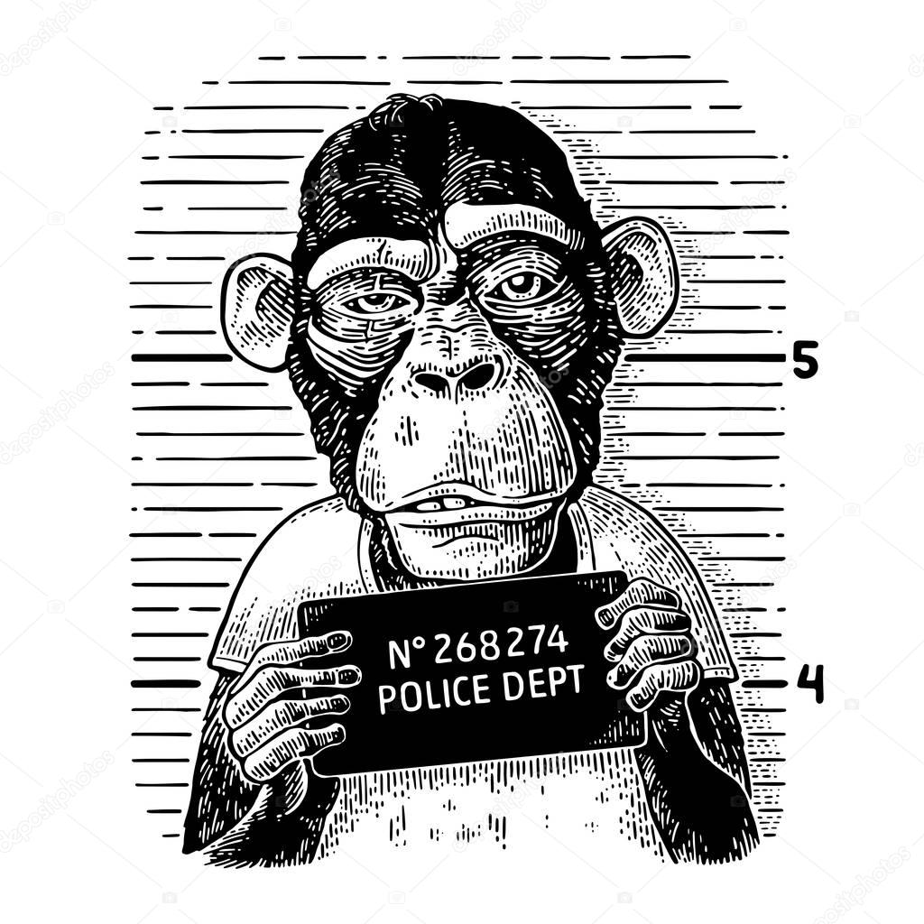 Monkeys in a T-shirt holding a police department banner