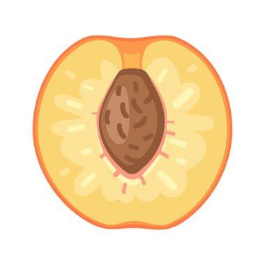 Beyaz arka plan üzerinde şeftali yuvarlak dilim. Düz renk illüstrasyon