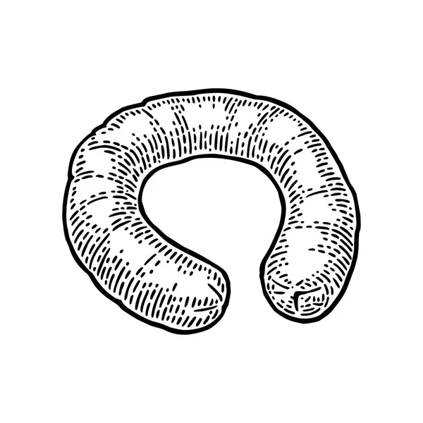 Δαχτυλίδι από Καπνιστό λουκάνικο. Εκλεκτής ποιότητας διανυσματικά εικονογράφηση χαρακτική — Διανυσματικό Αρχείο