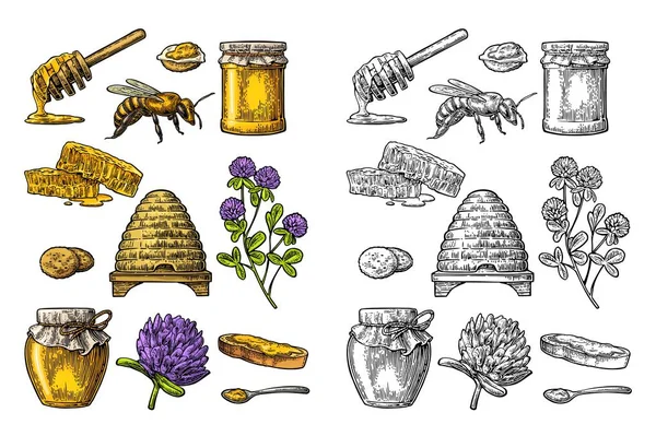 Tatlım küme. Kavanoz bal, arı, kovan, yonca, petek. Vektör vintage oyulmuş çizim