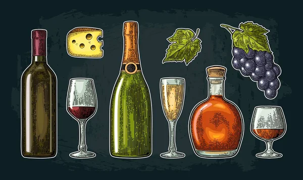 Set de bebidas elaboradas con uvas. Vino, brandy, champán — Vector de stock