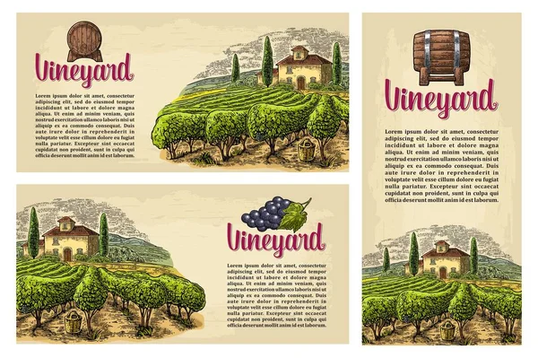 Définir des affiches ou des étiquettes horizontales, verticales et carrées pour le vin . — Image vectorielle