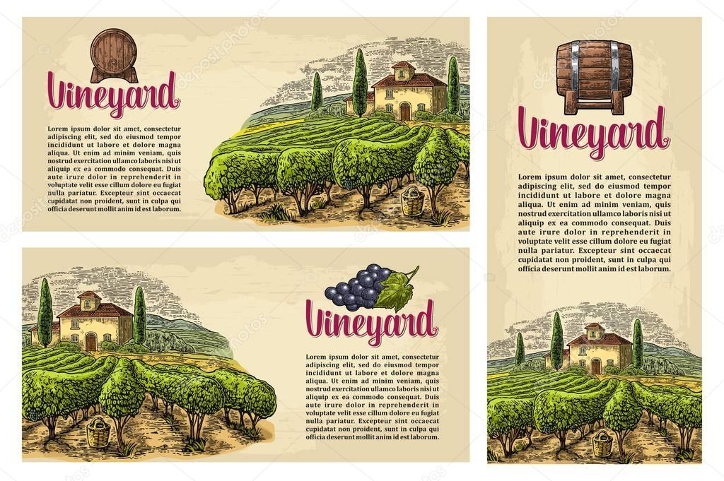 Set horizontal, vertical and square posters or labels for wine.