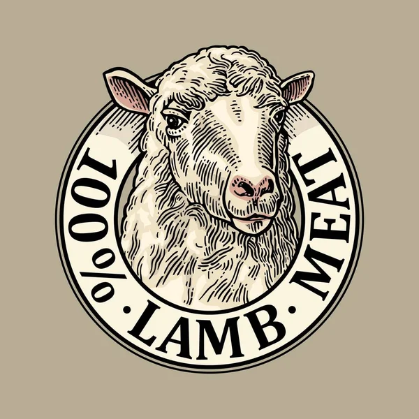 Koyun kafa. 100 kuzu eti yazı. Vintage vektör oyma çizim