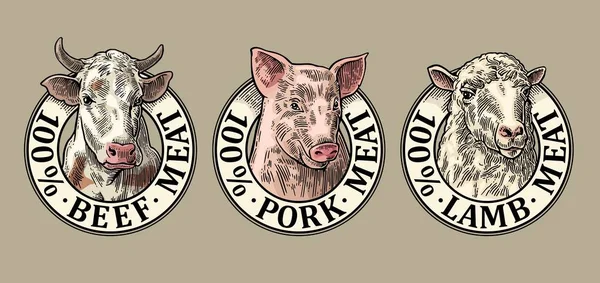 Koeien, varkens, schapen hoofd. 100% rundvlees varkensvlees lam vlees belettering. Vintage vector gravure — Stockvector