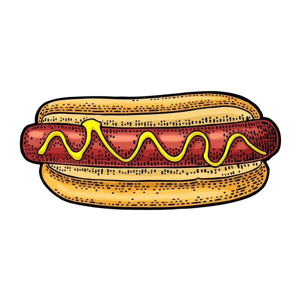 Hotdog con senape. Vista dall'alto. Incisione vettoriale colore vintage — Vettoriale Stock