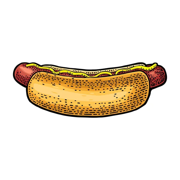 Hotdog with mustard. Side view. Vector engraving — Stock Vector