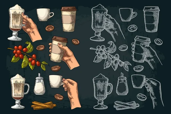 Mettez du café. Latte en verre, prise main tasse. Branche aux haricots — Image vectorielle
