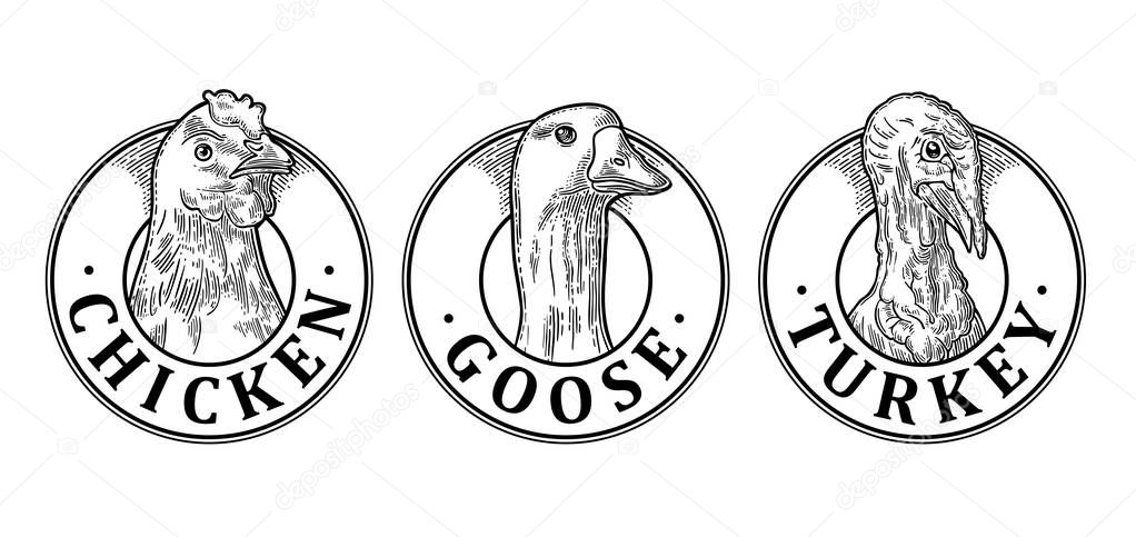 Turkey, Chicken and Goose head with lettering. Vintage vector engraving