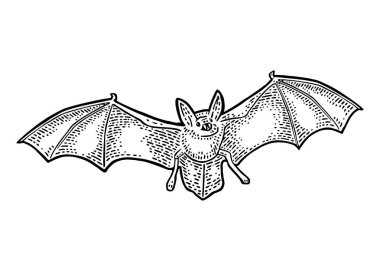 Korkutucu yüz ile uçan yarasa. Vektör siyah vintage oyma