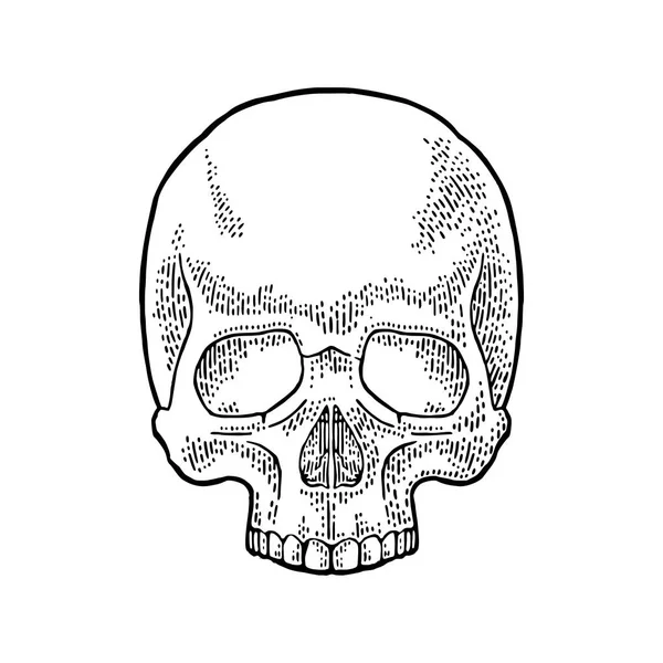 Menselijke schedel. Zwarte vintage vectorillustratie. — Stockvector