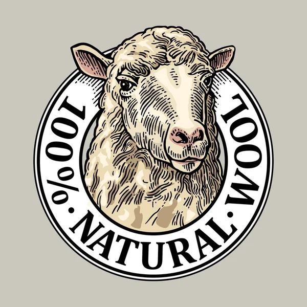 Sheep head. 100 Natural wooll lettering. Vintage vector engraving illustration — Stock Vector