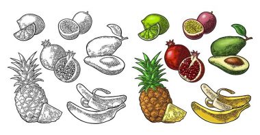 Tropikal meyve ayarlayın. Ananas, kireç, muz, nar, maracuya, avokado.