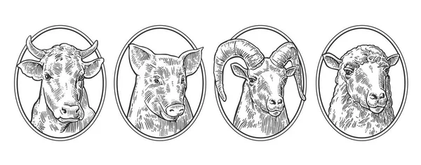 Animales de granja icono conjunto. Cabezas de cerdo, vaca, oveja y cabra — Archivo Imágenes Vectoriales