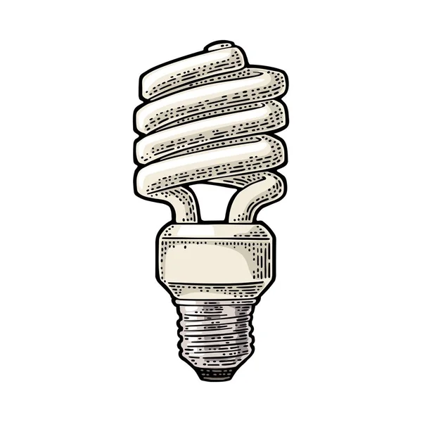 Lámpara espiral de ahorro de energía. Grabado Vector vintage sobre fondo blanco — Vector de stock