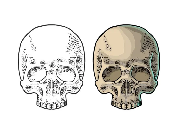 Menselijke schedel. Zwarte vintage vectorillustratie. — Stockvector