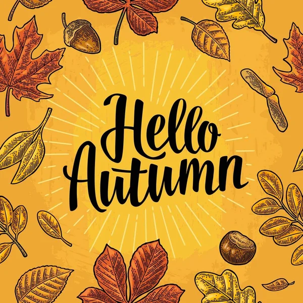 Folhas padrão sem costura, bolota, castanha e semente. Olá Autumn lettering . — Vetor de Stock