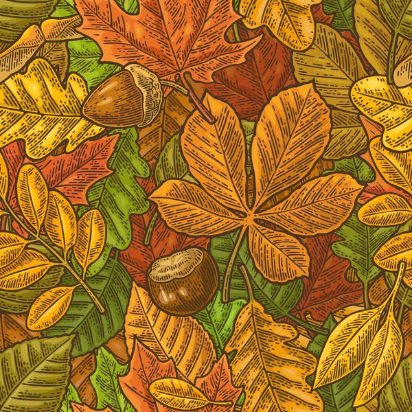 Nahtlose Musterblätter, Eicheln, Kastanien und Samen. Vektor Vintage Gravur — Stockvektor