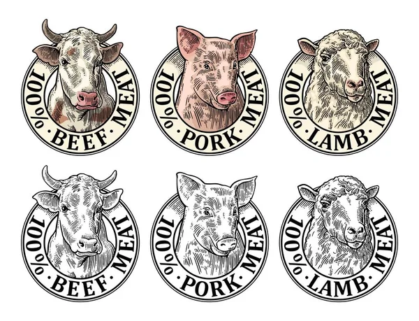 Vacas, cerdos, cabezas de ovejas. 100 por ciento de carne de cerdo de cerdo con letras de carne. Grabado vectorial Vintage — Archivo Imágenes Vectoriales