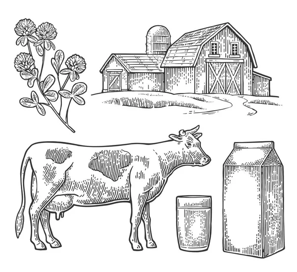 Set fattoria del latte. Testa di mucca, trifoglio, scatola di cartone pacchetto di vetro — Vettoriale Stock