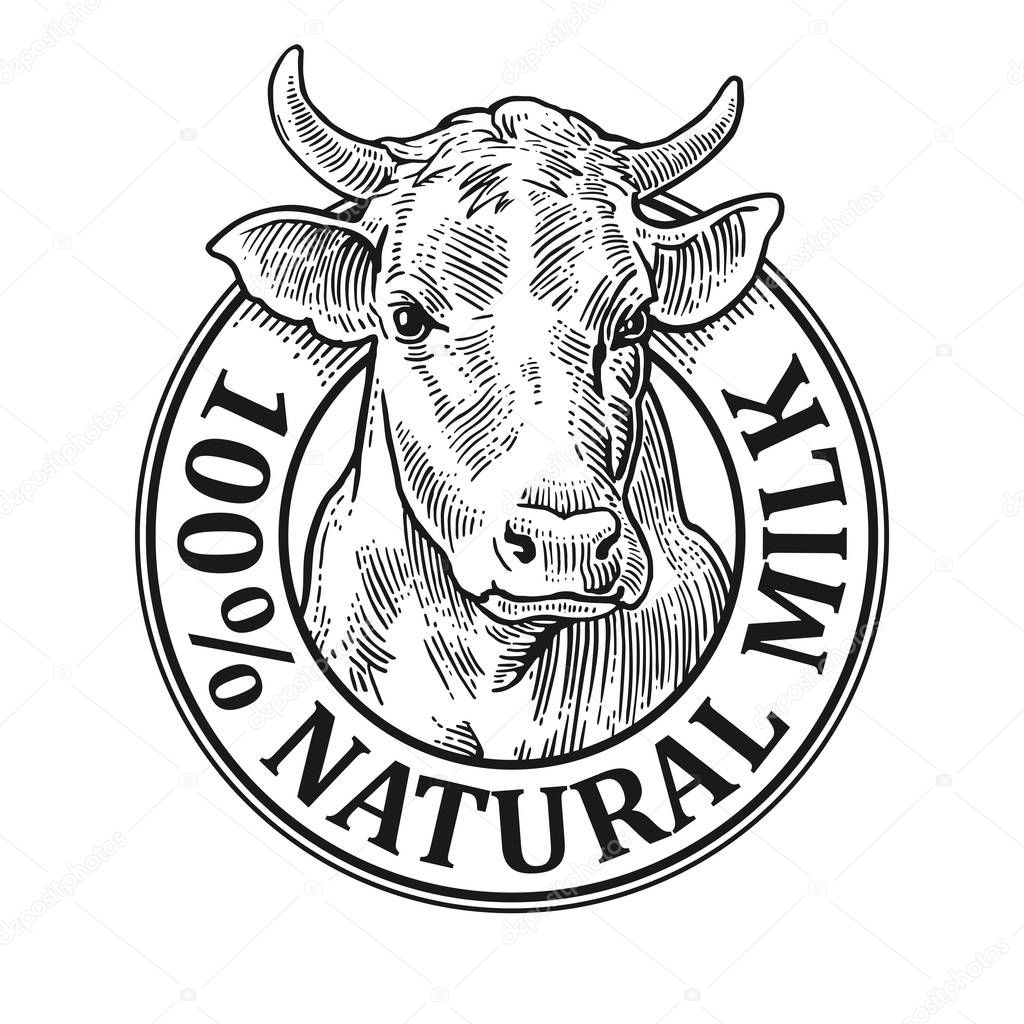 Cows head. 100 Natural Milk. Vintage vector engraving