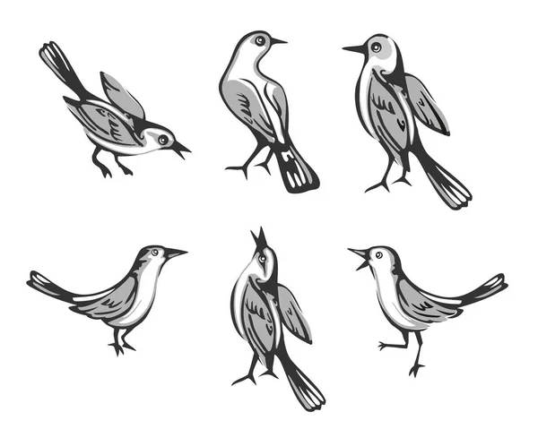 Για να ορίσετε συνεδρίαση πουλιών. Απομονωμένα σε λευκό φόντο. Επίπεδη εικονογράφηση διάνυσμα — Διανυσματικό Αρχείο