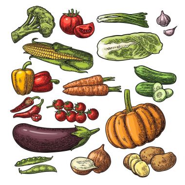 Sebze ayarlayın. Salatalık, sarımsak, Mısır, biber, brokoli, patates ve domates.