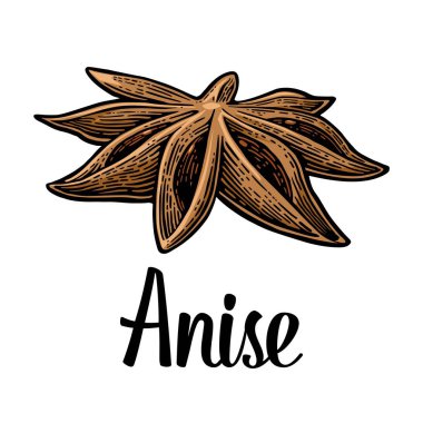 Anason tohumu ile baharat meyve. Vektör siyah vintage kazınmış