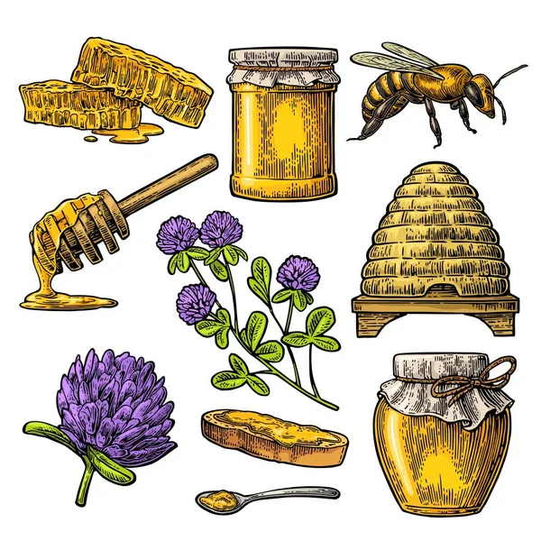 Mel pronto. Frascos de mel, abelha, colmeia, trevo, favo de mel. Vetor vintage gravada ilustração —  Vetores de Stock