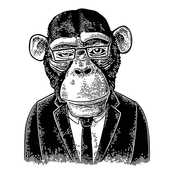 Monkey businessman in suit, tie, rectangular glasses. Vintage black engraving — Stock Vector