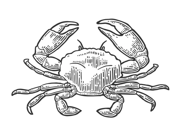 Crabe isolé sur fond blanc. — Image vectorielle