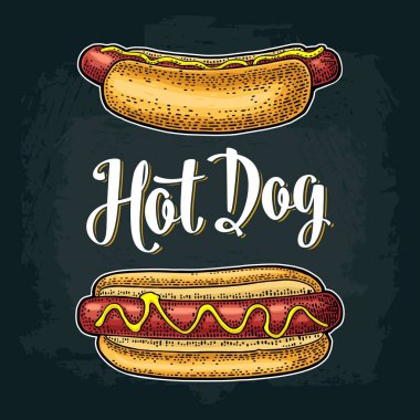 Hotdog ile domates, hardal, marul bırakın. Vektör renk oyma