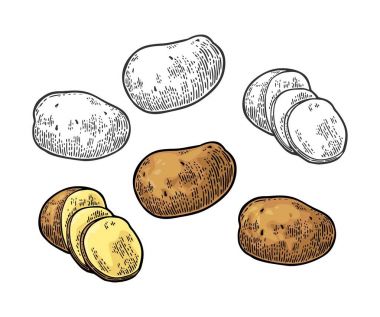 Bütün patates ve dilim. Vektör oyma vintage