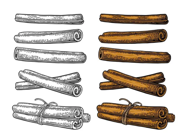 Jeu de bâton de cannelle. Célibataire et ligoté par corde . — Image vectorielle