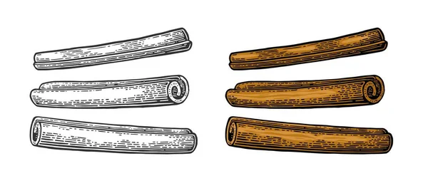 Cinnamon stick set. Vector black vintage engraving — Stock Vector