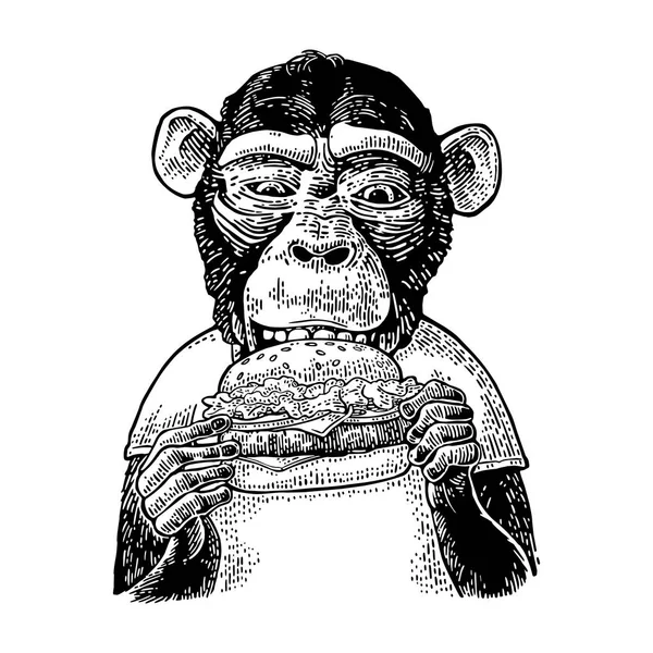 Aap met een t-shirt een hamburger-hamburger eten. Vintage zwarte gravure — Stockvector