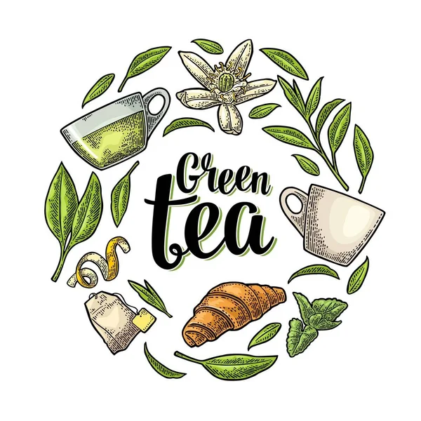 Set mit Schriftzug Grüner Tee. Vektor Vintage Gravur — Stockvektor