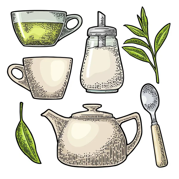 Чашка чаю дотепність і гілки з листям. Вектор vintage гравіювання — стоковий вектор