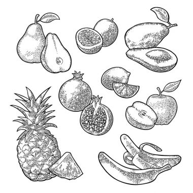 Tropikal meyve ayarlayın. Ananas, kireç, muz, nar, maracuya, avokado.