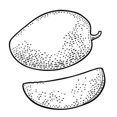 Bütün ve dilim mango. Vektör siyah vintage