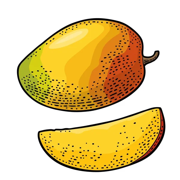 Mango entero y rebanado. Vector de color vintage — Vector de stock