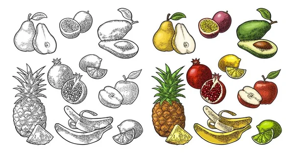Früchte tragen. Ananas, Limette, Banane, Granatapfel, Maracuya, Avocado. — Stockvektor
