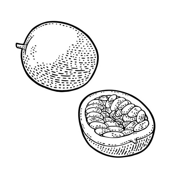 Maracuya entera y media con semilla. Grabado vectorial — Vector de stock