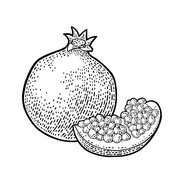 Fruto de granate entero y medio con semilla. Grabado vectorial — Vector de stock