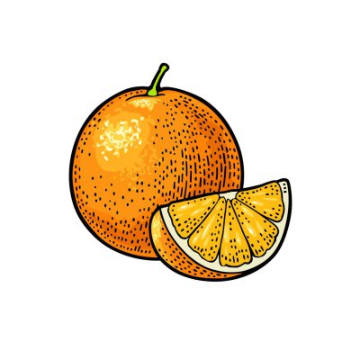 Bütün ve dilim portakal. Vektör renk vintage