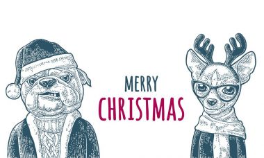 Köpek Noel Baba şapkalı, kat. Mutlu yeni yıl yazı