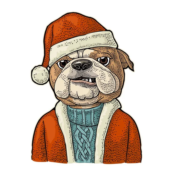 Perro Santa Claus con sombrero, abrigo. Feliz Año Nuevo letras — Archivo Imágenes Vectoriales